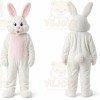 Professional Bunny Mascot Costume