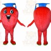 Professional Fruit Mascot Costume