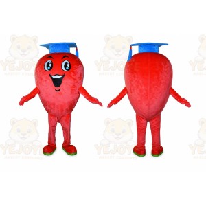 Professional Fruit Mascot Costume