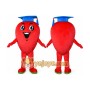 Professional Fruit Mascot Costume