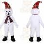 Professional Quality Turtle Mascot Costumes