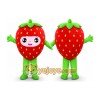 Strawberry Mascot Costume