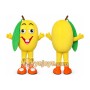 Professional Tropical Fruit Mascot Costume