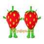 Strawberry Mascot Costume
