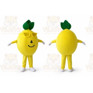 Pugs Dog Mascot Costume for Adult