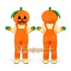 Pumpkin Mascot Costume