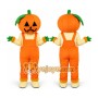 Pumpkin Mascot Costume