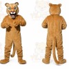 Pumpkin halloween Mascot Costume