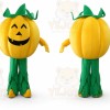 Pumpkin Mascot Costume