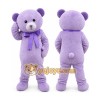 Purple Bear Mascot Costume Purple Bear Mascot Costume