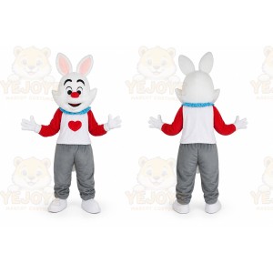 Rabbit Big Cartoon Mascot Costume