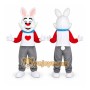 Rabbit Big Cartoon Mascot Costume