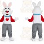 Rabbit Big Cartoon Mascot Costume