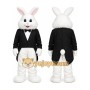 Rabbit Bunny Mascot Costume