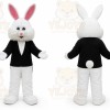 Rabbit Mascot Costumes for Adults