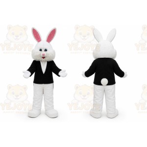 Rabbit Mascot Costumes for Adults
