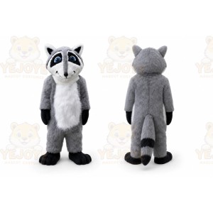 Racoon _ Wildcat Mascot Costume