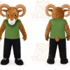 Racoon Wildcat Cartoon Mascot Costume