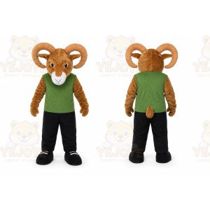 Racoon Wildcat Cartoon Mascot Costume