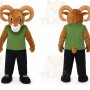 Racoon Wildcat Cartoon Mascot Costume