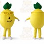 Real Pictures Yellow Lemon Mascot Costume