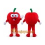 Red Apple Mascot Costume Fruit Cartoon