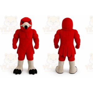 Red Hat Yooung Lucky Boy Mascot Costume