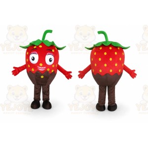 Red Teddy Bear Mascot Costume