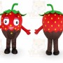 Red Teddy Bear Mascot Costume