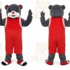 Rocket Bear Mascot Costume