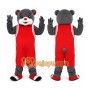 Rocket Bear Mascot Costume