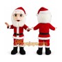 Santa Claus Mascot Costume