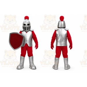 Silver Knight Mascot Costume