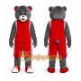 Sport Bear Mascot Costume