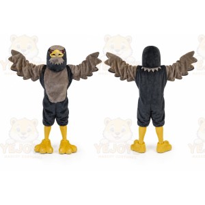 Sport Eagle Falcon Hawk Mascot Costume