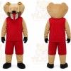 Sport Green Frog Mascot Costume