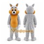 Squirrel Mascot Costume