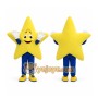 Star Mascot Costume