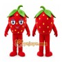 Strawberry Mascot Costume