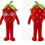 Strage Fat Diggo Boy Mascot Costume