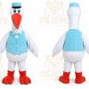 Strawberry Fruit Mascot Costume