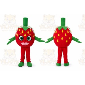 Strawberry Mascot Costume Adult Halloween Costume