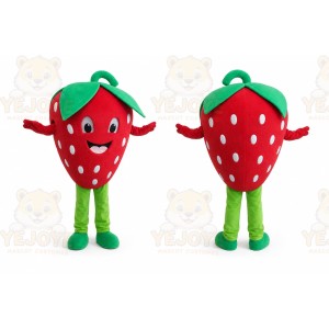 Strawberry Mascot Costume Fruit