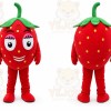 Strawberry Mascot Costume