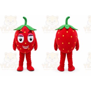 Strawberry Mascot Costume