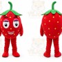 Strawberry Mascot Costume
