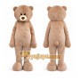 Teddy Bear Mascot Costumes