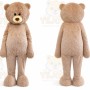 Teddy Bear Mascot Costumes