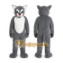 Tiger _ Wildcat Mascot Costume
