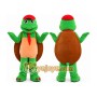 Green Turtle Mascot Costume